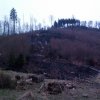 IMG_20130426_161702